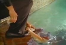 Melissa Hill Screams in an All Out Fuck Session