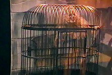 Horny Old Dominant Bitch Needs a Good Fucking