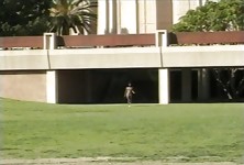 Innocent Black Amateur Coed Fucking