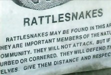 Monique Enjoying Devlin Weed's Dick