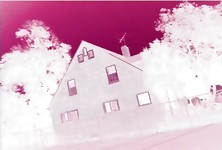 Elle Devyne Knows How to Ride a Penis