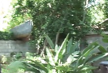 Cute Ebony Gets Fucked Hard and Deep