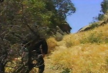 Horny Ninja Face Fucks May Maui